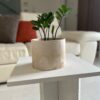 VASO LARGE N°1 - immagine 3